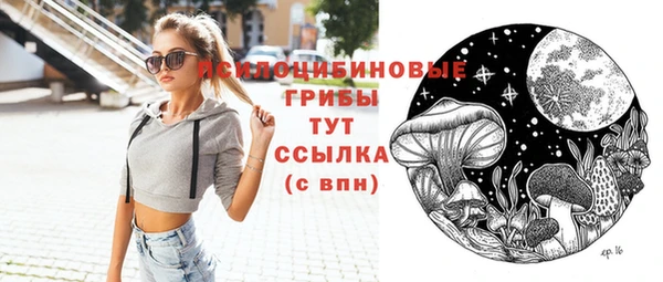 соль ск Зеленокумск