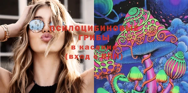 ПСИЛОЦИБИНОВЫЕ ГРИБЫ Зеленодольск