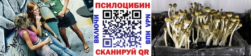 Галлюциногенные грибы ЛСД  Купить  Елабуга 